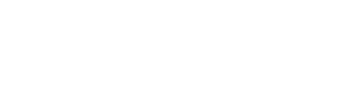 1:3 ELECTRIC